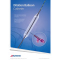 Jiuhong Factory Manuracuter! Biliary Dilation Balloon Catheter